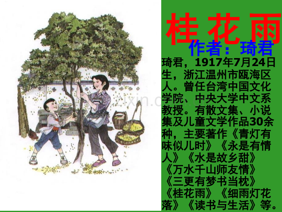 《桂花雨》(课堂PPT).ppt_第1页