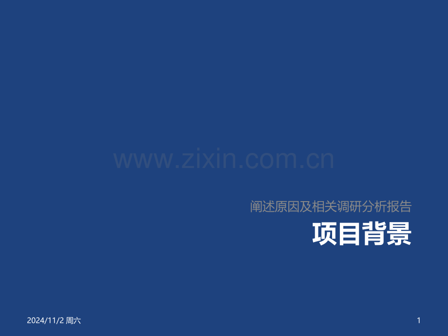 BRD-商业需求分析报告模板PPT.ppt_第2页