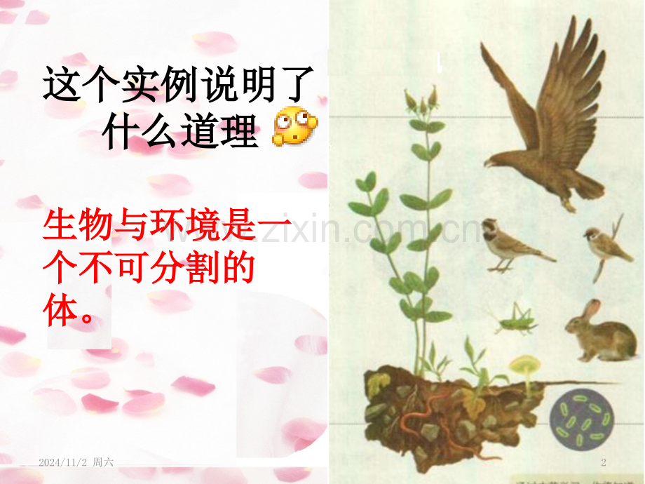 第二节生物与环境组成生态系统(课堂PPT).ppt_第2页