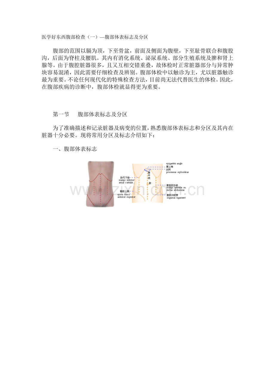 医学好东西腹部检查(一)—腹部体表标志及分区.doc_第1页