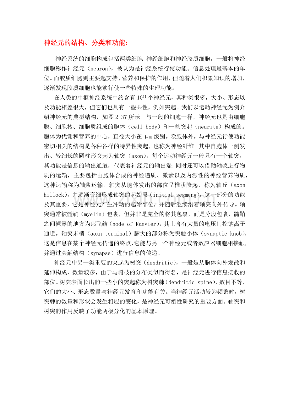 神经元的结构、分类和功能.doc_第1页