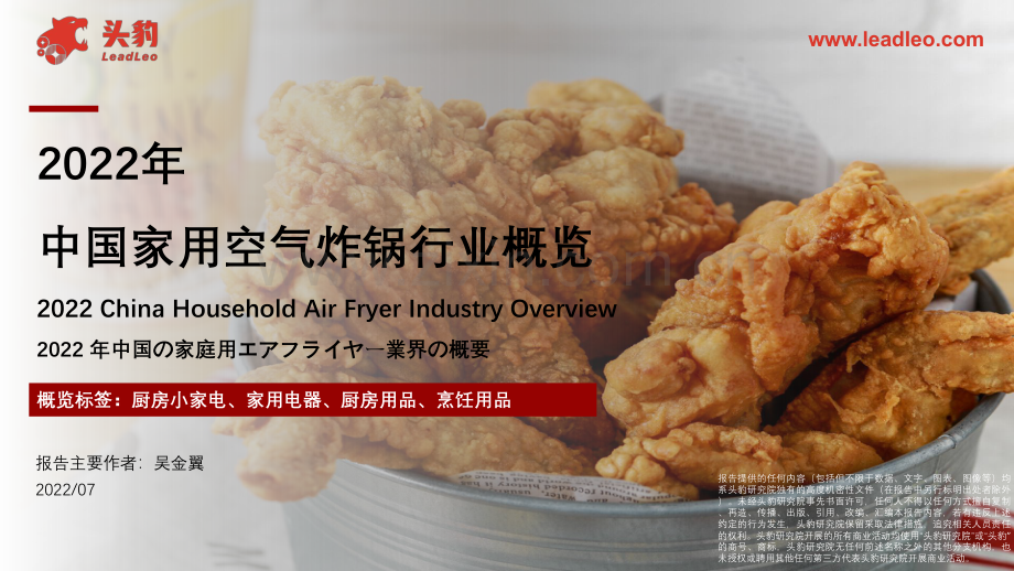 中国家用空气炸锅行业概览.pdf_第1页