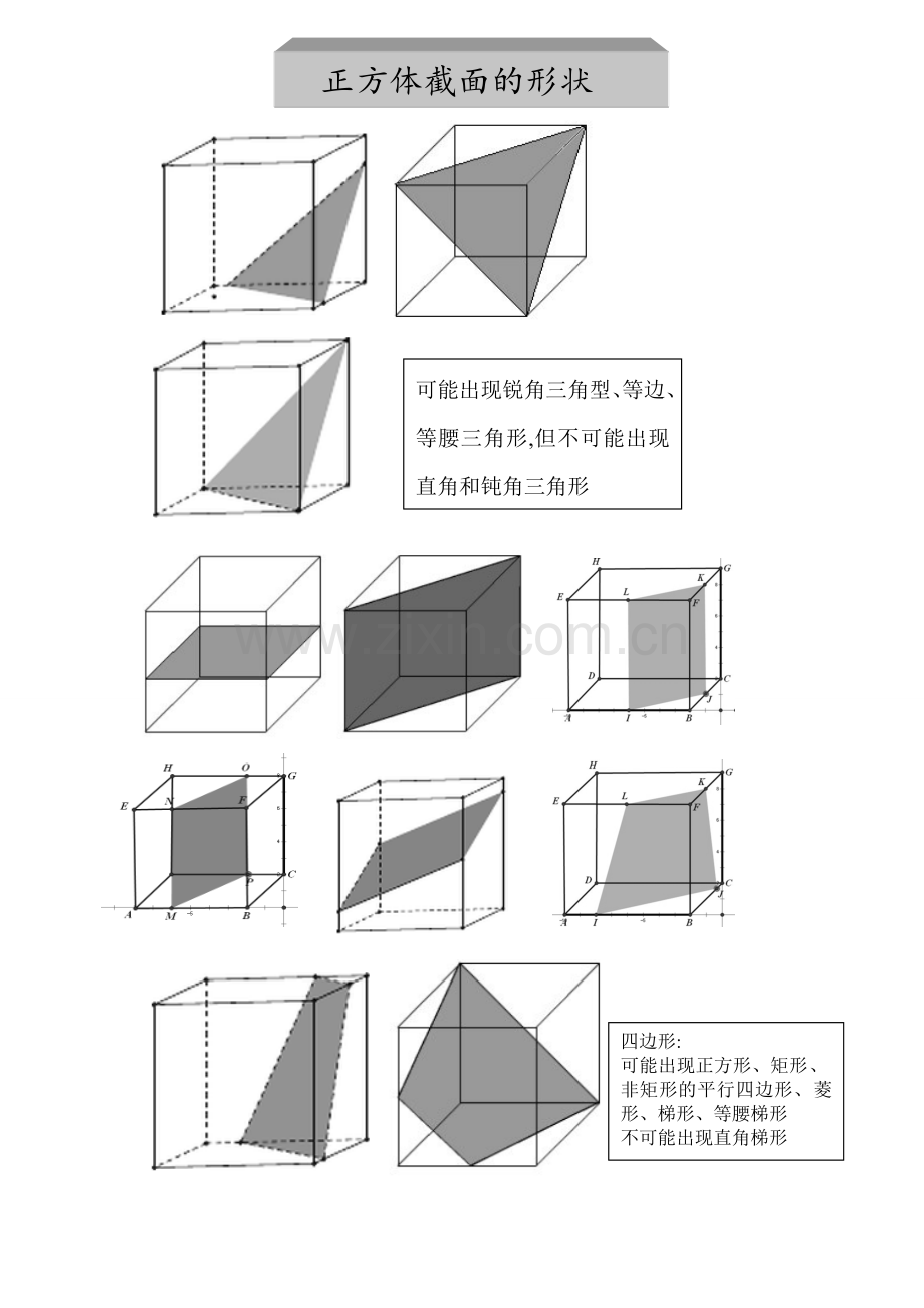 正方体截面的形状(总结).doc_第1页