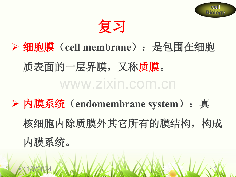 第五章细胞的内膜系统和囊泡运输(课堂PPT).ppt_第1页