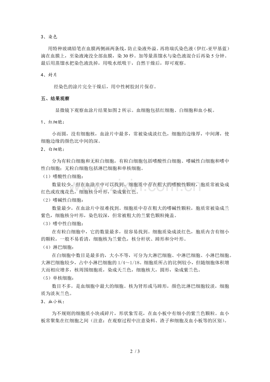 实验--血涂片的制作与血细胞的观察.doc_第2页
