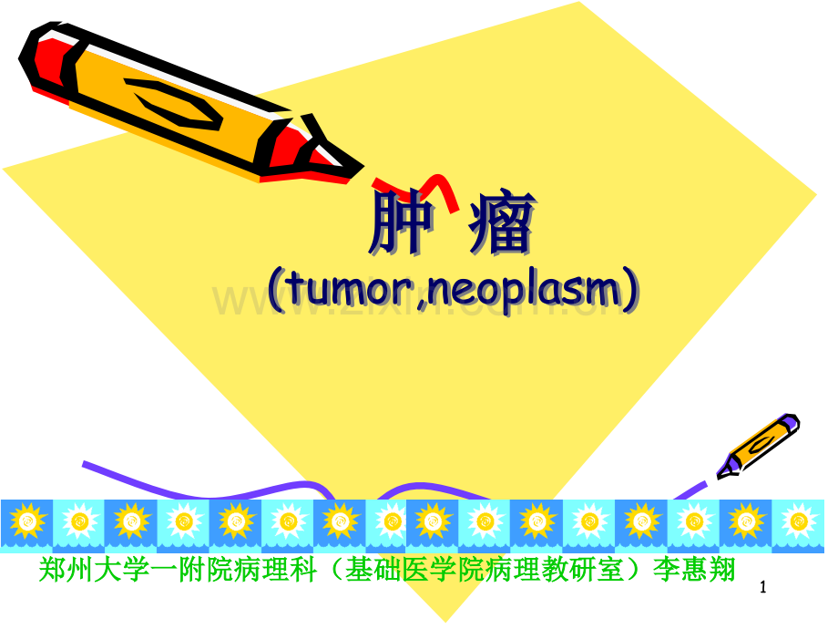 肿瘤PPT课件.ppt_第1页