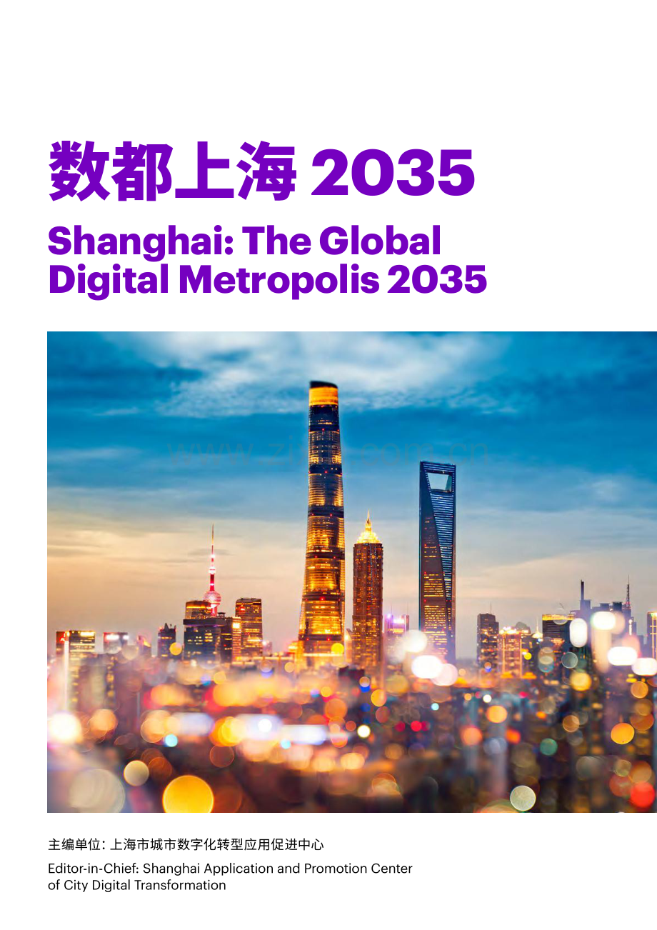 上海市城市数字化转型应用促进中心.pdf_第1页