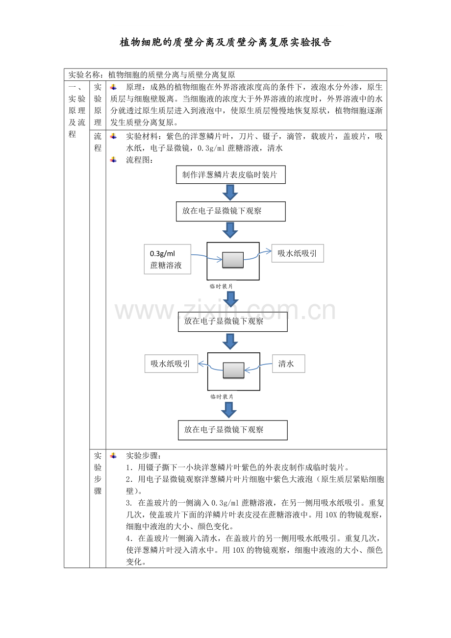 质壁分离实验报告.doc_第1页