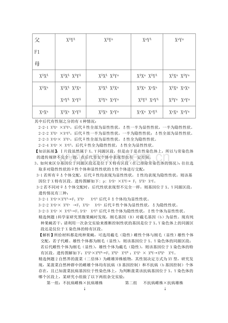 议XY染色体的“同源区段与非同源区段”.doc_第2页
