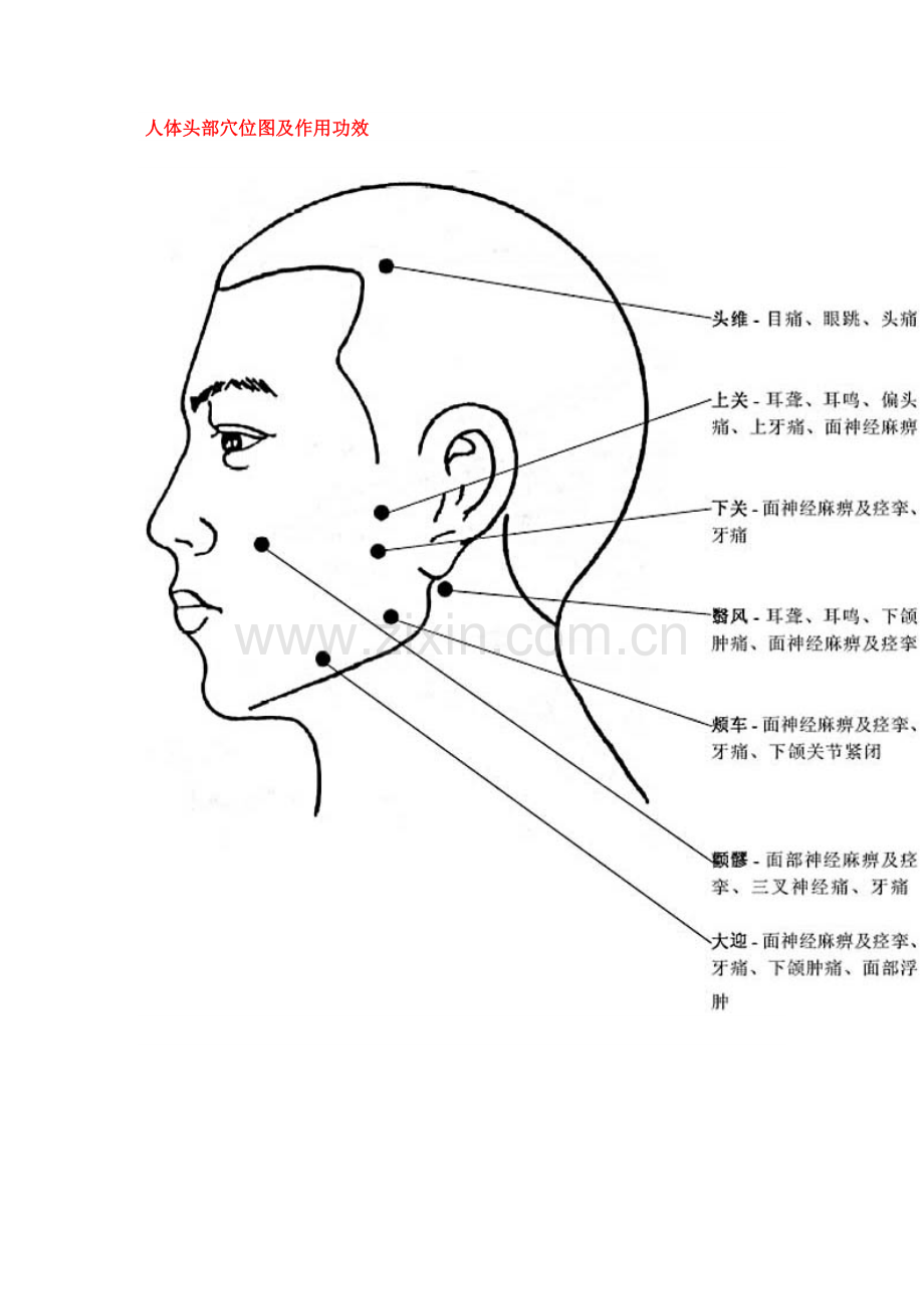 人体穴位作用图解大全.doc_第1页