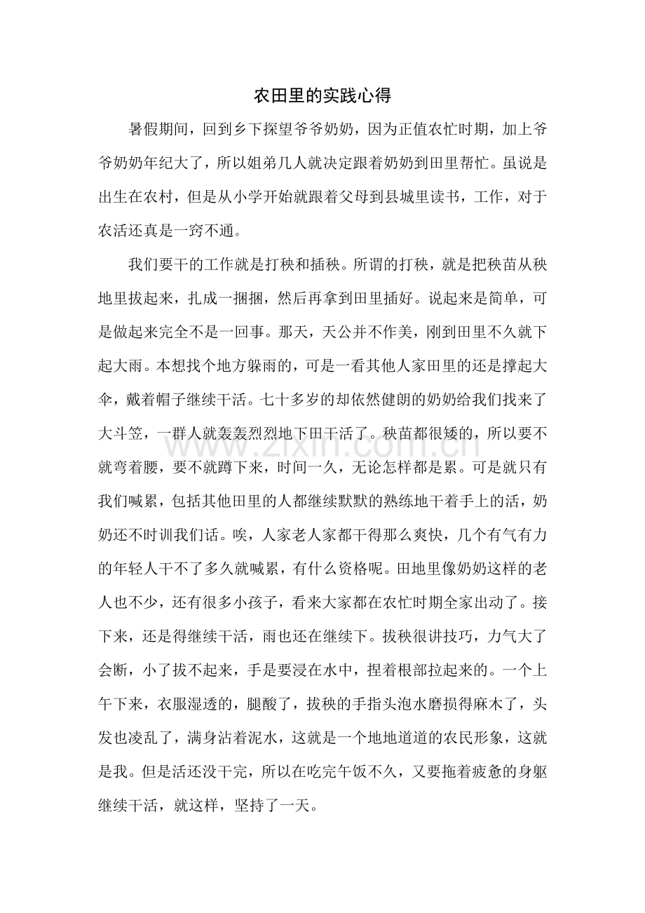 农田里的实践心得.doc_第1页