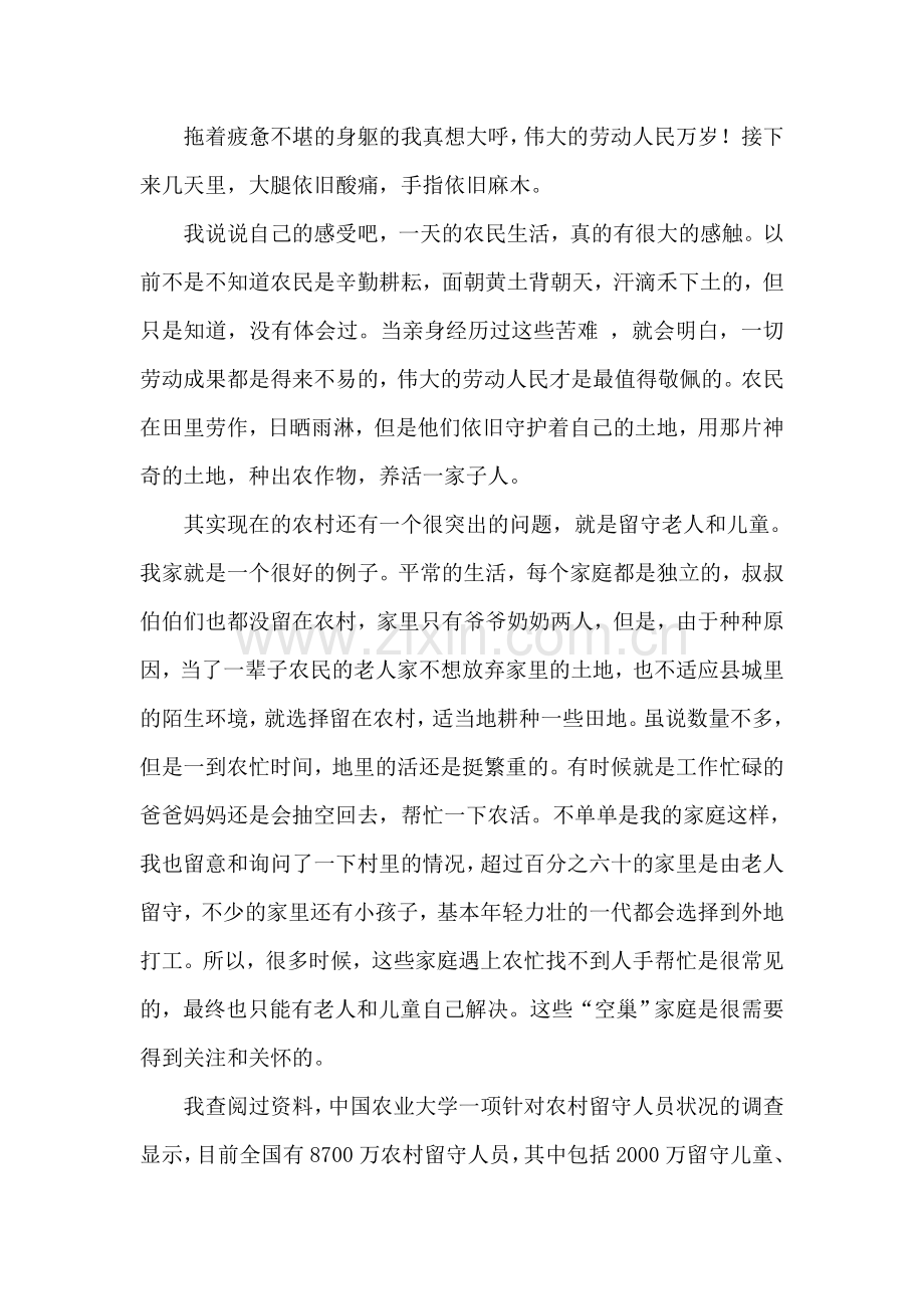 农田里的实践心得.doc_第2页