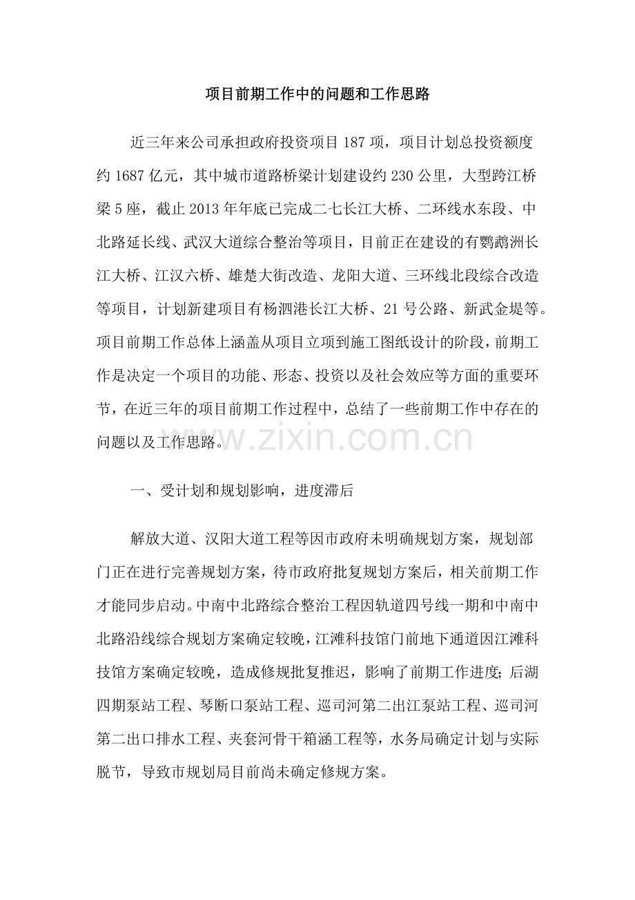项目前期工作中的问题和工作思路.docx_第1页