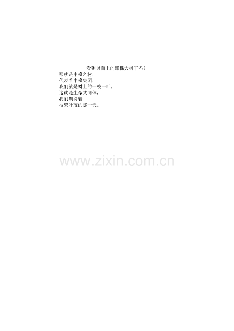 中盛集团企业文化手册.doc_第2页
