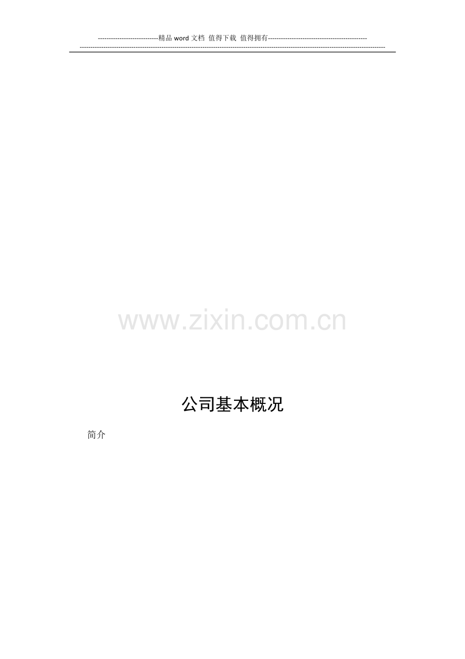 营运手册模板.docx_第2页