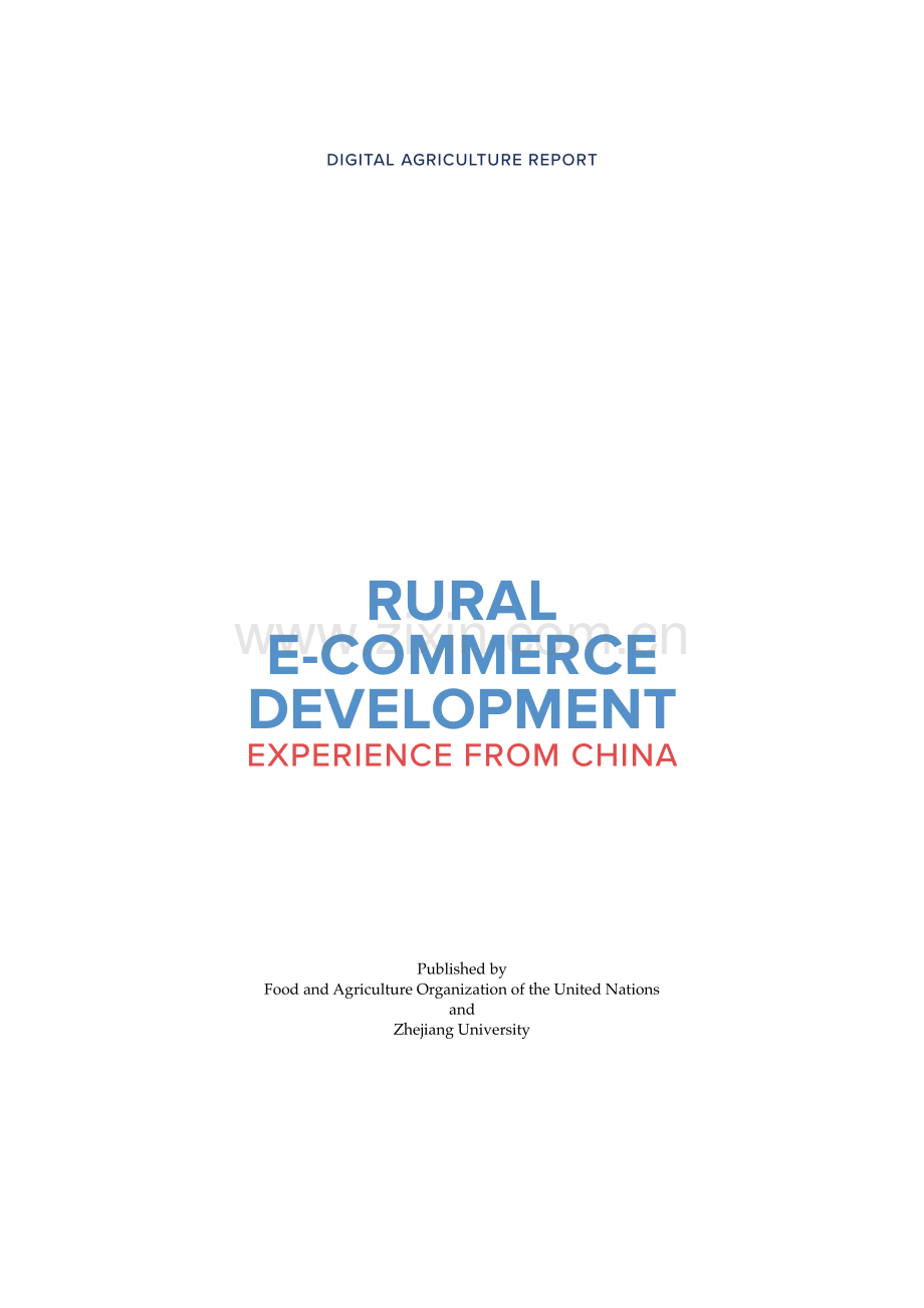 中国农村电商的发展经验.pdf_第2页