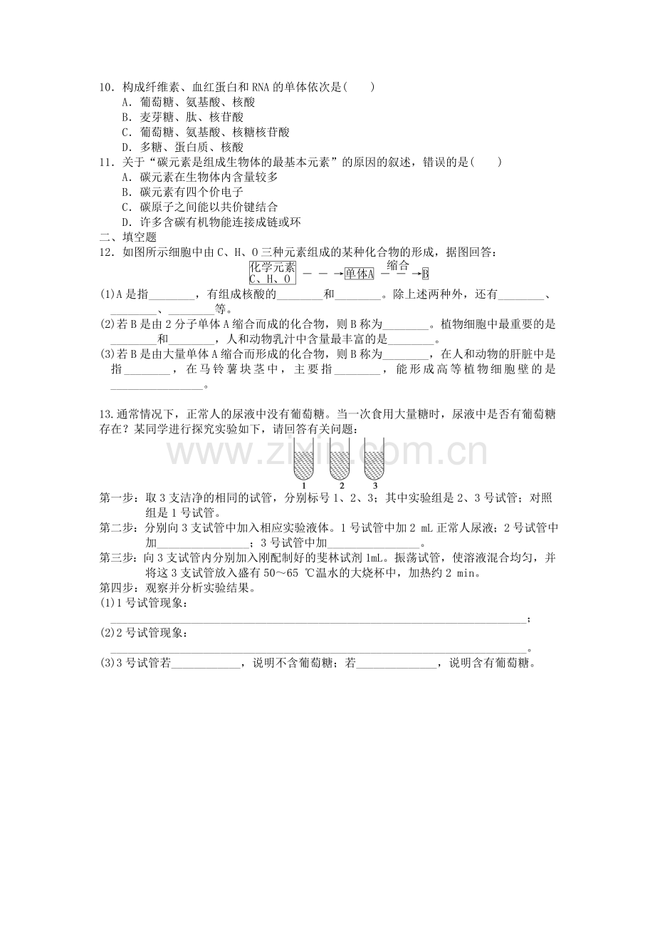高一生物上学期第6周试题.doc_第2页