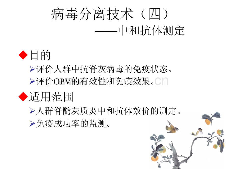 中和抗体测定.pptx_第1页