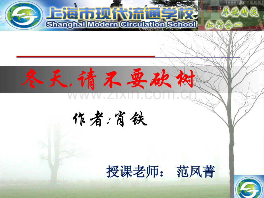 冬天请不要砍树.pptx_第1页
