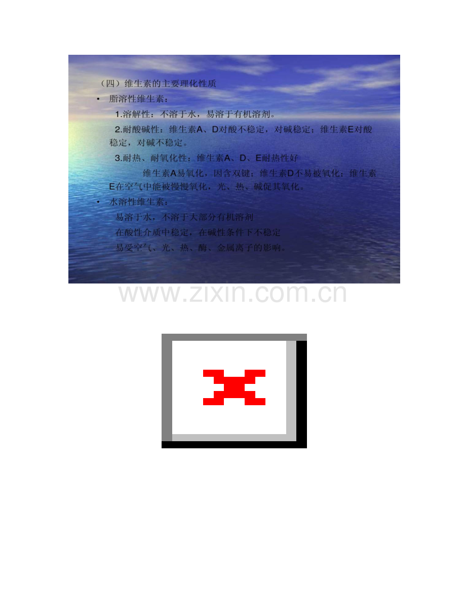 食品中维生素含量的测定精.doc_第2页