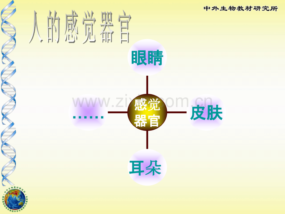 人体感知信息ppt.pptx_第2页