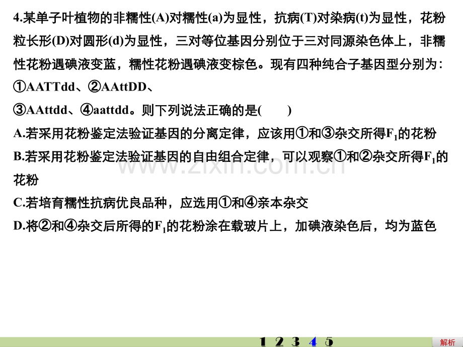 孟德尔的豌豆杂交实验二一轮复习.pptx_第1页