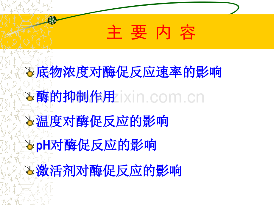 酶促反应动力学.pptx_第2页