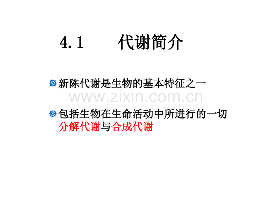 高等教育生命活动的维持.pptx_第1页