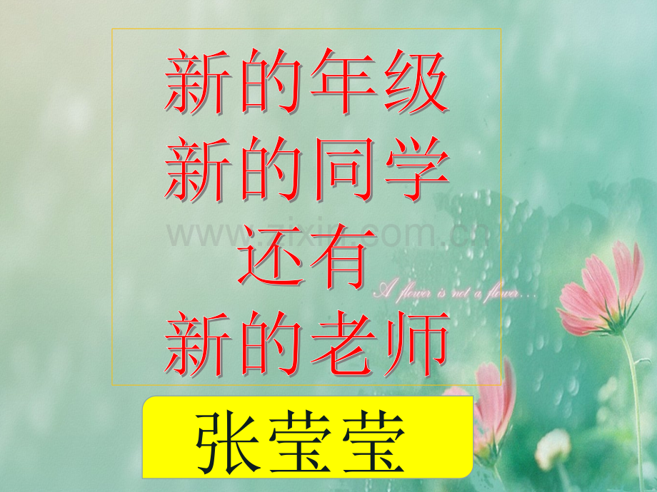 小学三年级数学开学97369.pptx_第2页