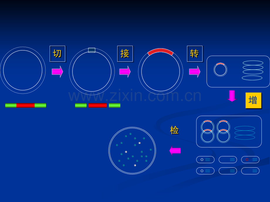 重组与鉴定.pptx_第2页