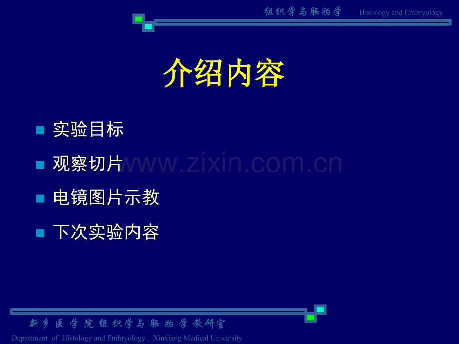 实验一--上皮组织-固有结缔组织-.pptx_第2页