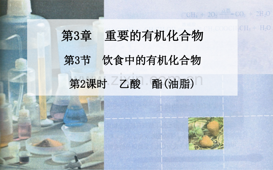 高中化学鲁科必修二-重要的有机化合物时-乙酸-酯油脂.pptx_第2页