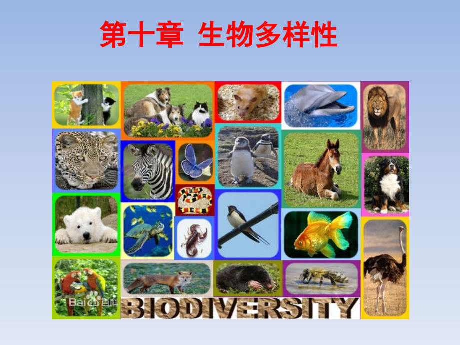 2017沪科版高中生物生物多样性2共150张.pptx_第1页