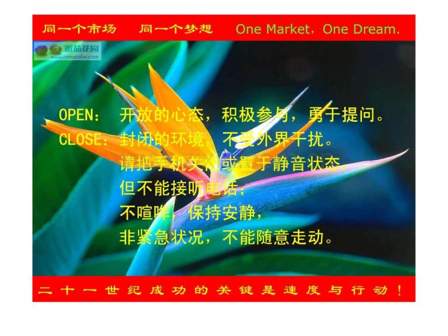 卓越团队.pptx_第2页