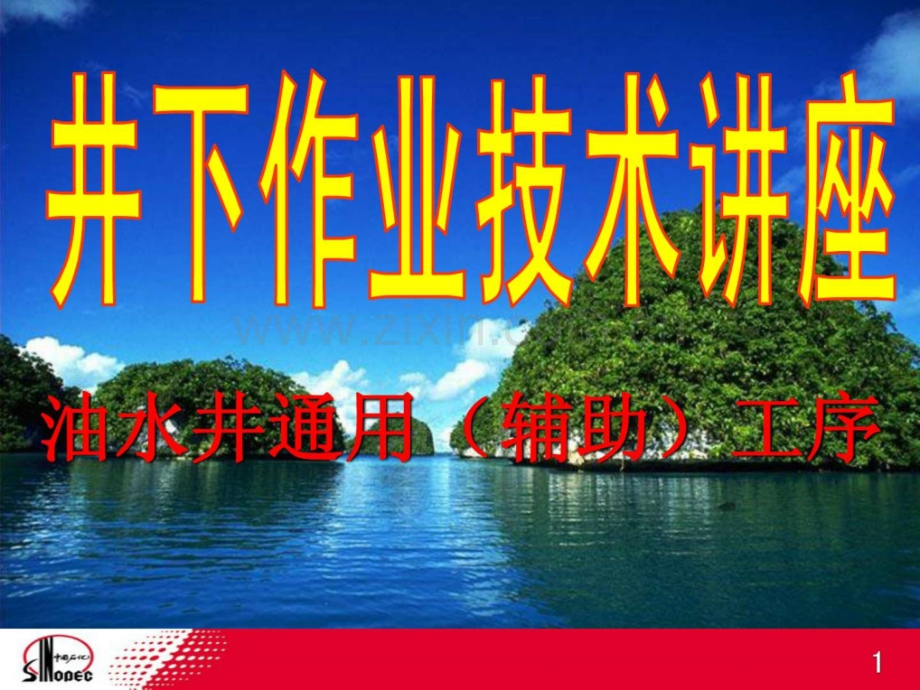 井下作业技术油井.pptx_第1页