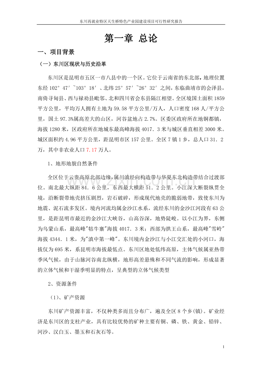 东川再就业特区天生桥特色产业园建设项目可行性研究报告.doc_第1页