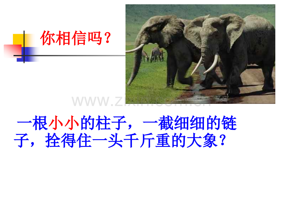 好习惯成就好人生-主题班会课件.pptx_第2页