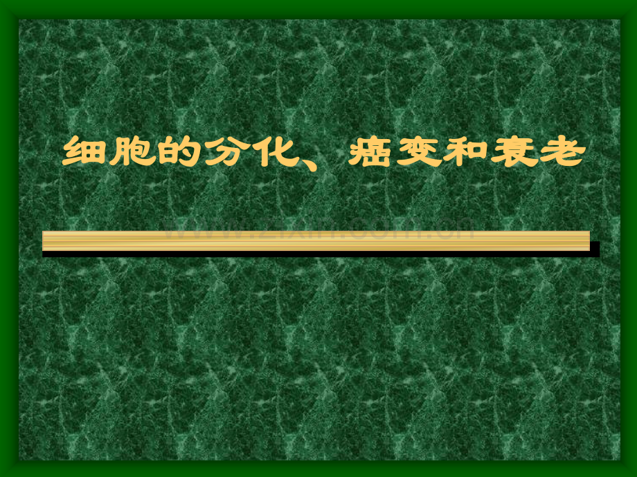 高三生物细胞的分化癌变和衰老.pptx_第1页