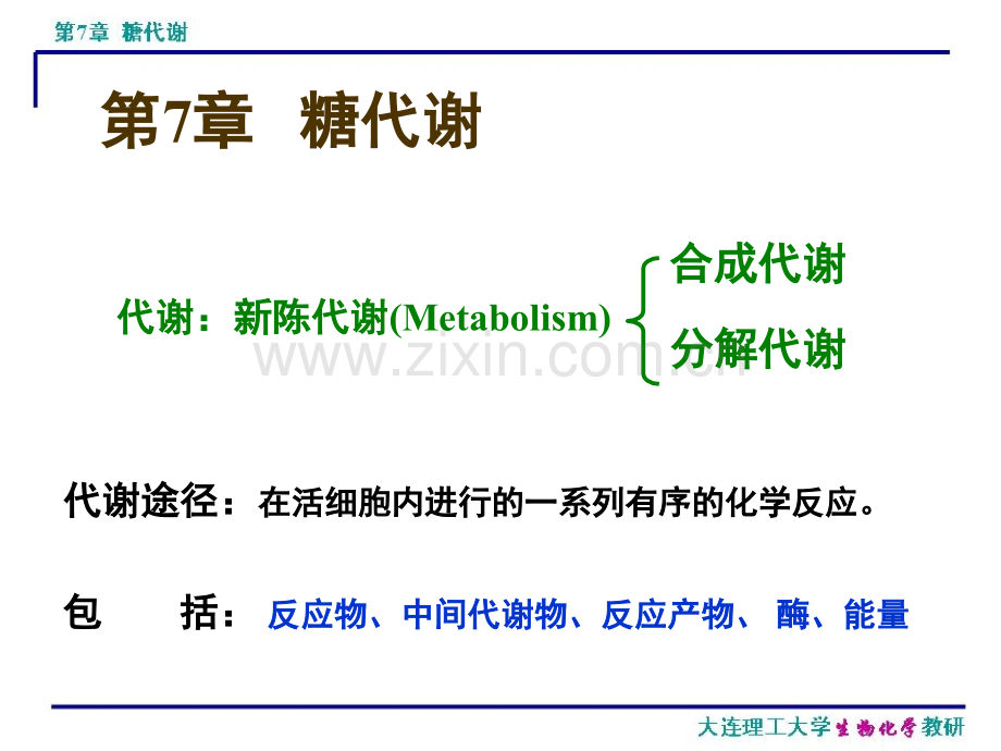 7-糖代谢.pptx_第2页