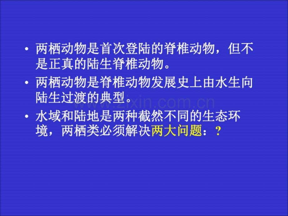 脊索动物门两栖纲.pptx_第2页