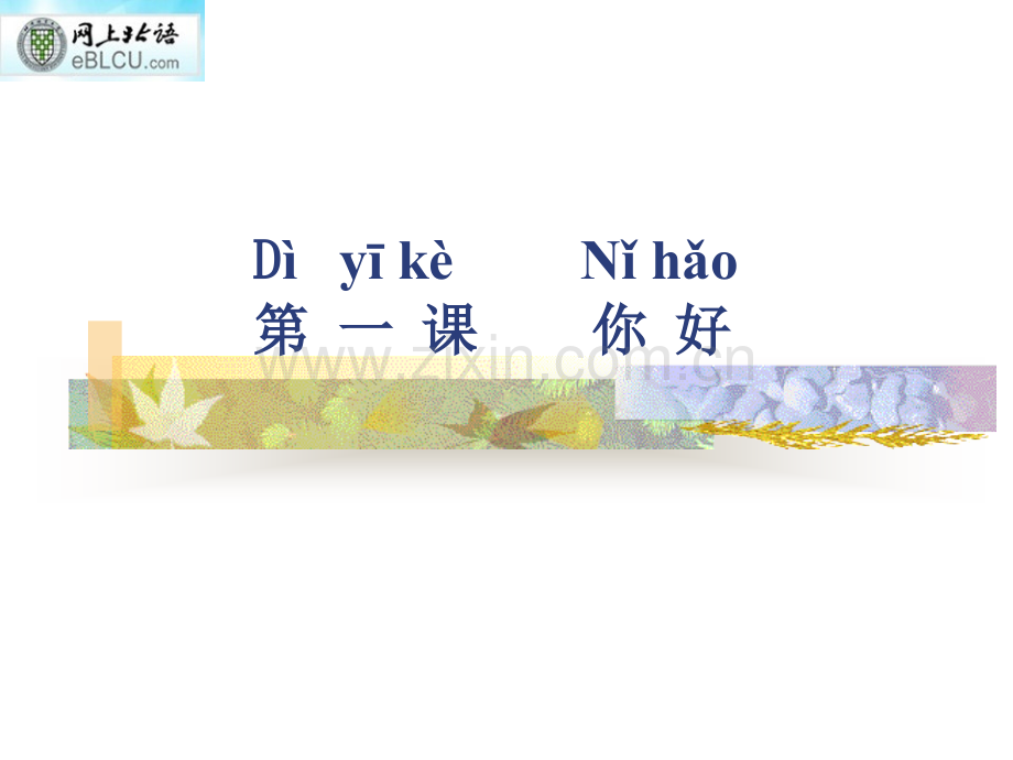 汉语教程你好.pptx_第1页