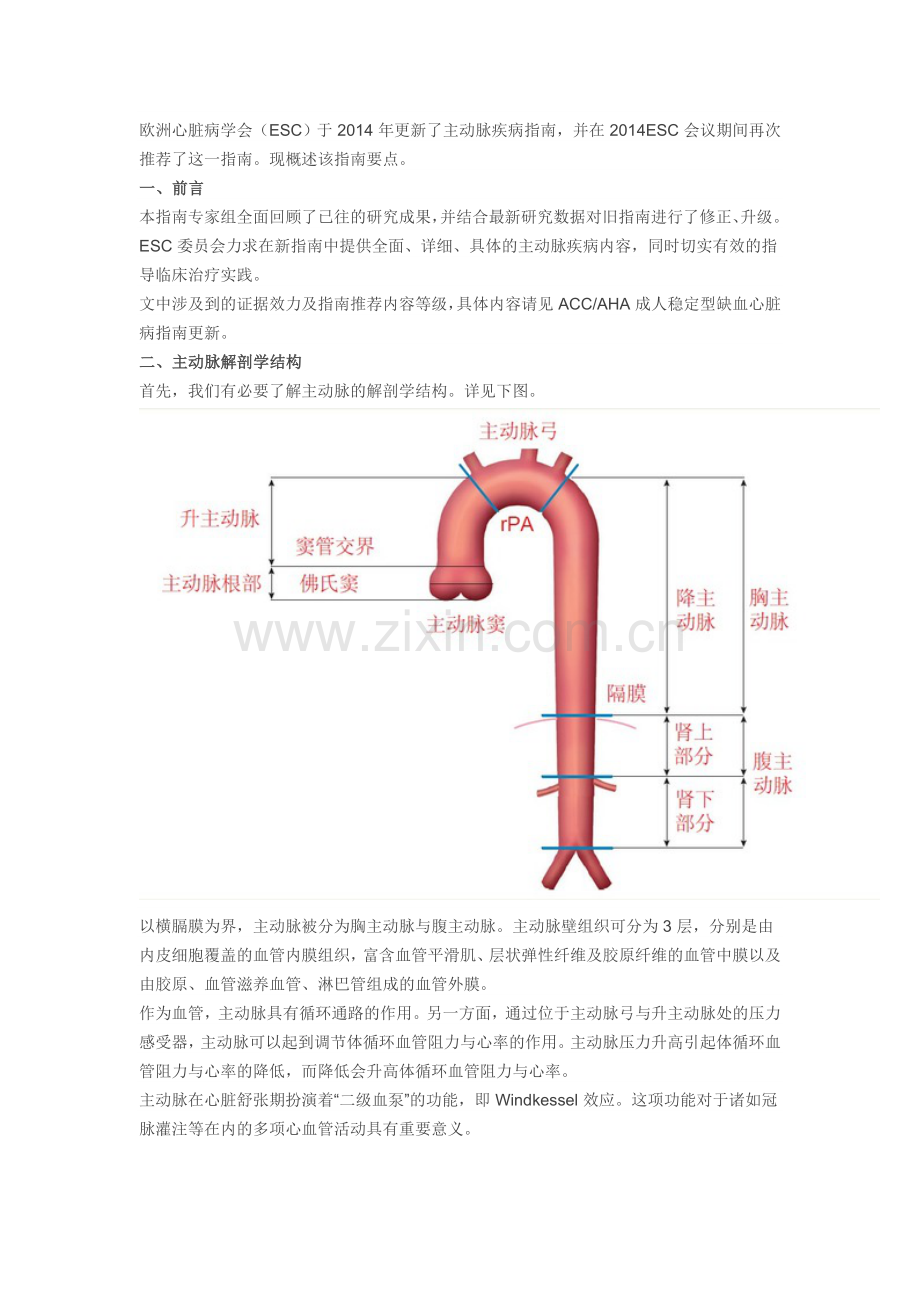 2014年ESC主动脉疾病诊疗指南.doc_第1页