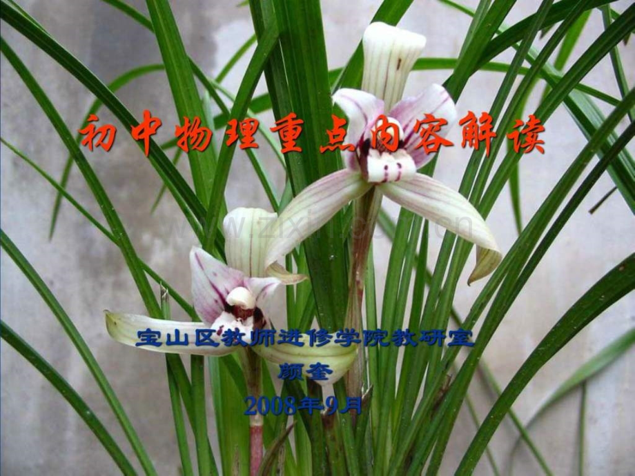 初中物理重点内容解读.pptx_第1页