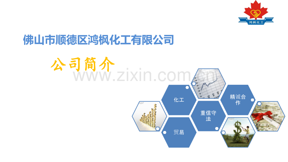 01鸿枫化工公司简介.pptx_第1页