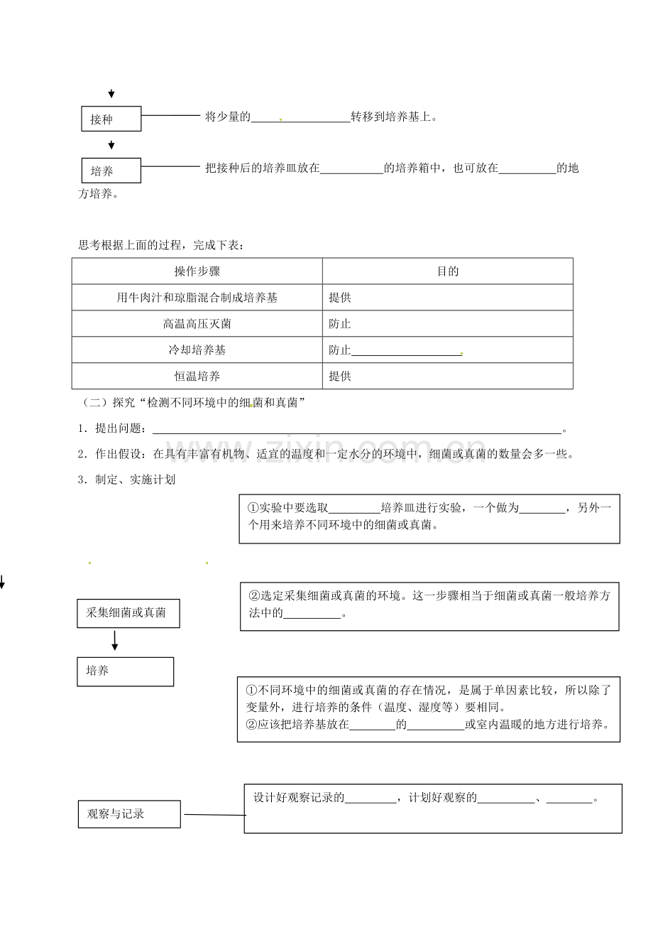 八年级生物上册-541-细菌和真菌的分布学案无答案新版新人教版.doc_第2页