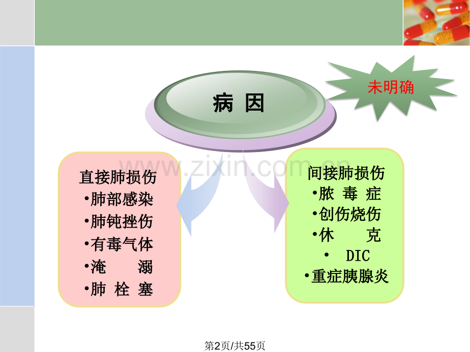 ARDS重症哮喘.pptx_第2页