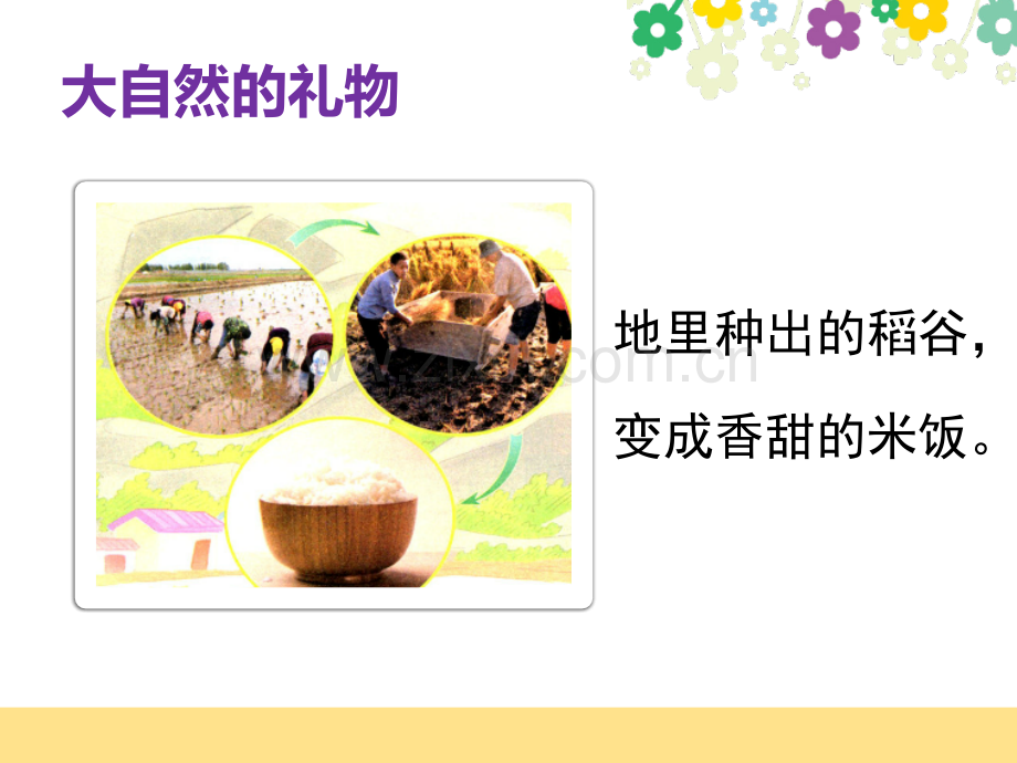 部编本道德与法治一年级下册《大自然-谢谢您》.pptx_第2页