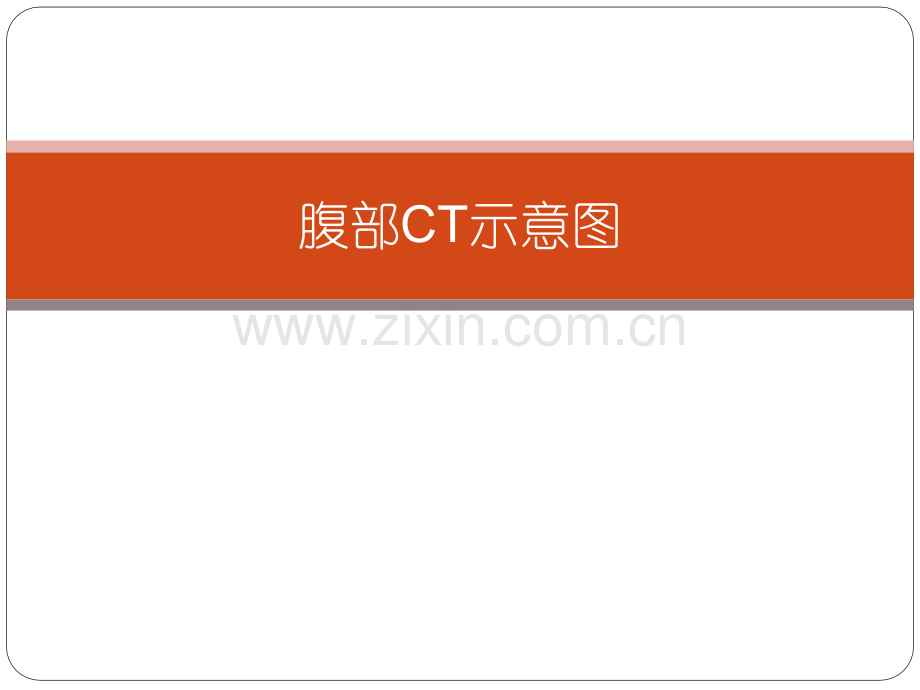 腹部CT-示意图.pptx_第1页