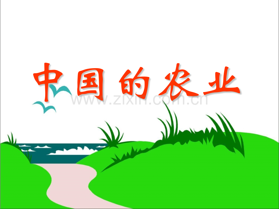 中国的农业ppt.pptx_第1页