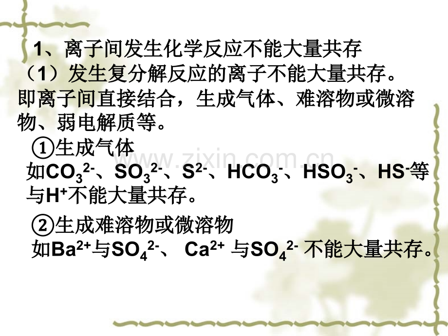 高三离子反应复习.pptx_第2页